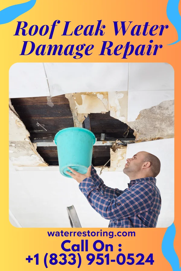 Roof Leak Water Damage Repair in Laureles, TX