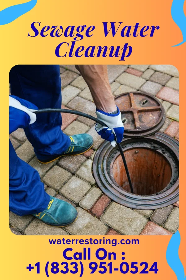 Sewage Water Cleanup in Laureles, TX