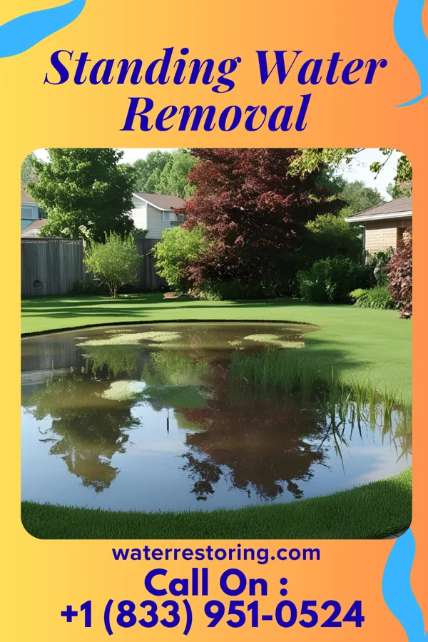 Standing Water Removal in Laureles, TX
